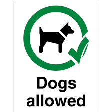 DOGS ALLOWED